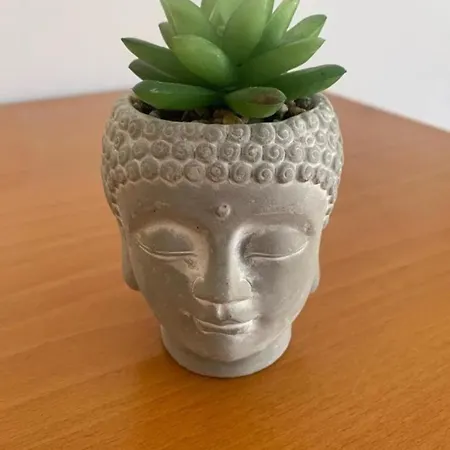 The Beautiful View 티라나