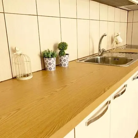 The Beautiful View 티라나