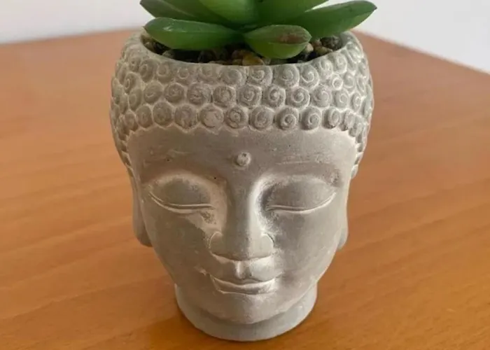 The Beautiful View 地拉那