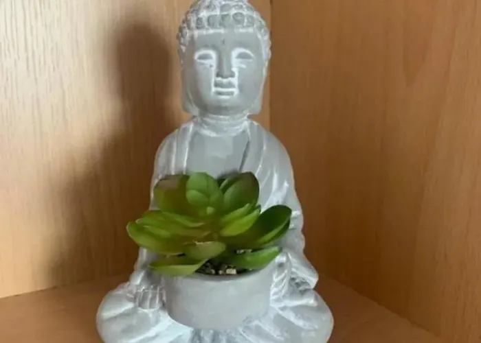 The Beautiful View 公寓 *